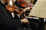 Golden Gate Strings